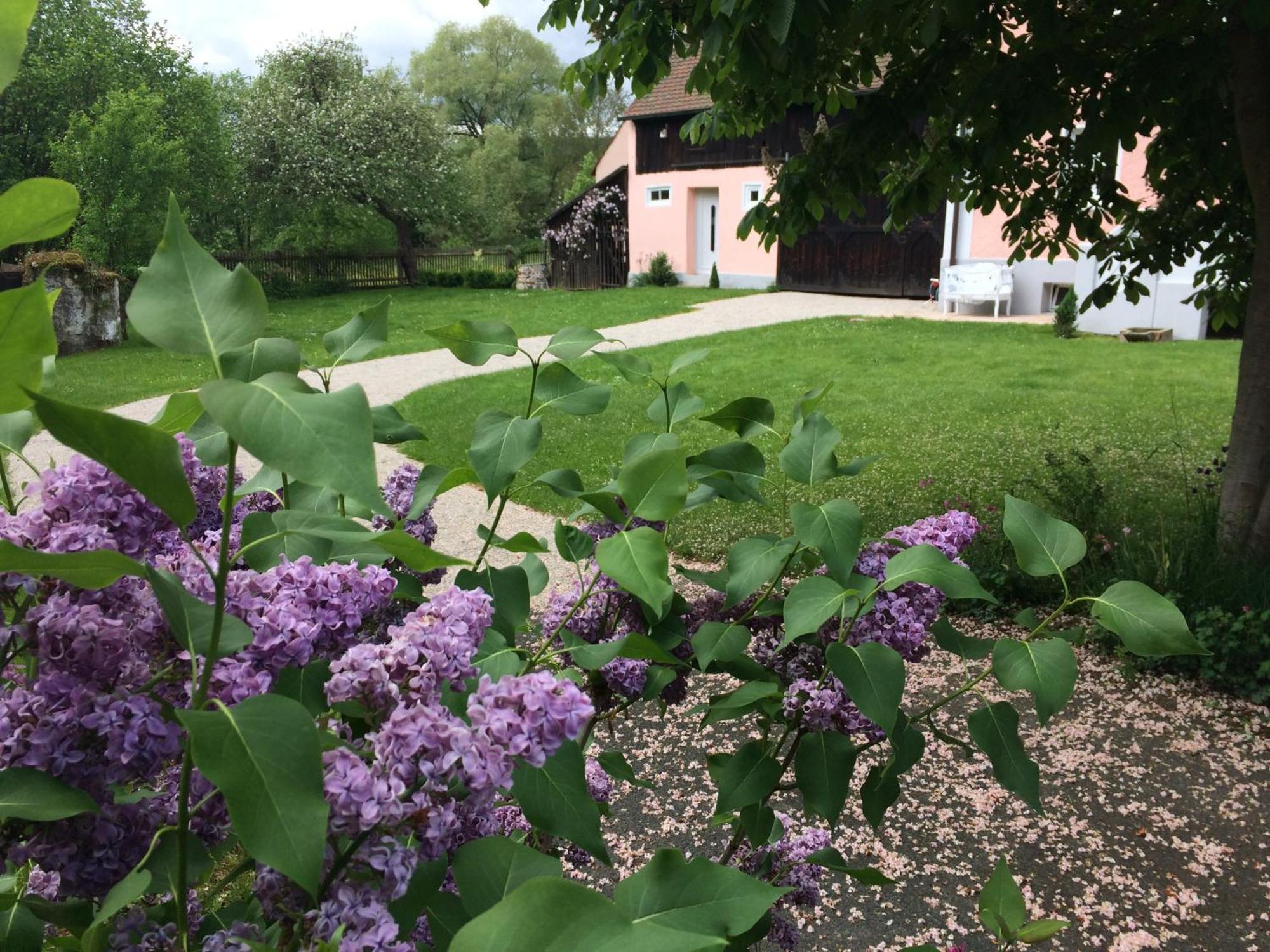 Landhaus Am Schloss Schnabelwaid Luaran gambar
